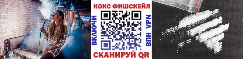 COCAIN Fish Scale  Купить где  Неман 