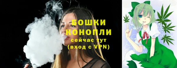 стафф Каменск-Шахтинский