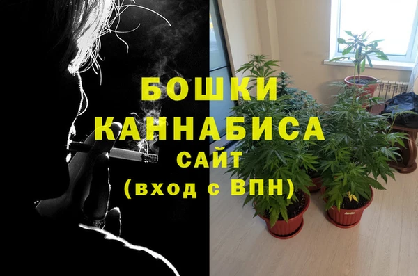 стафф Каменск-Шахтинский