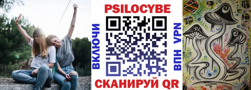 Псилоцибиновые грибы Cubensis  Купить  Неман 